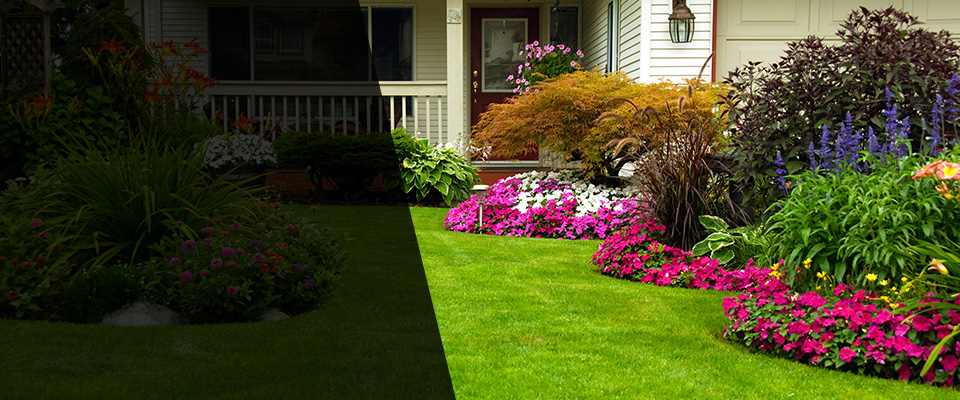 Ossian Landscapers