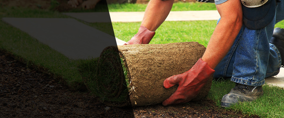 Ossian Landscapers